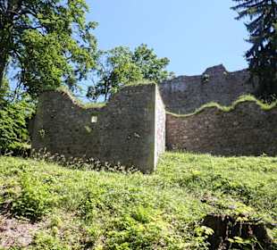 Litice nad Orlicí hrad