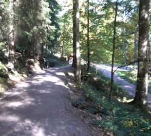 Natur-Hochseilgarten Triberg