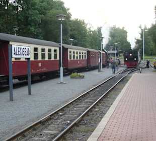 Die HSB im Bahnhof Alexisbad