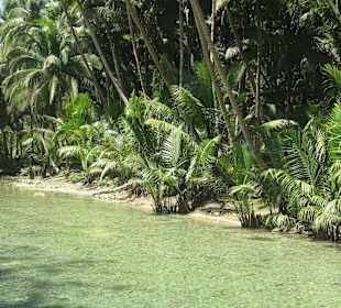 Bei den Kawasan Wasserfällen