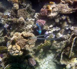 Wir kommen wieder, aber nur noch im Winter