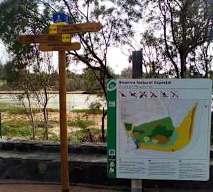 Naturschutzgebiet La Charca in Maspalomas