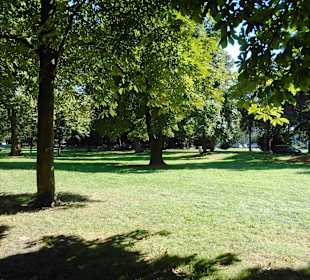Parkanlage vor dem Sachsenturm