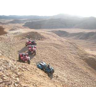 Quads in Wüste