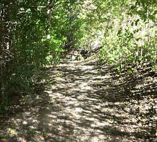 Baumlehrpfad Zollertal