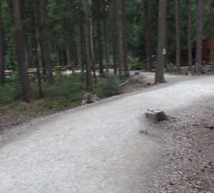 Dinosaurier Museum Altmühltal