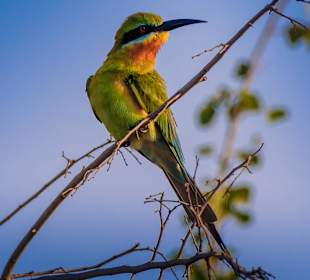 Udawalawe Nationalpark