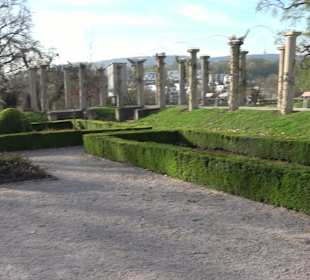 Rosengarten Stuttgart