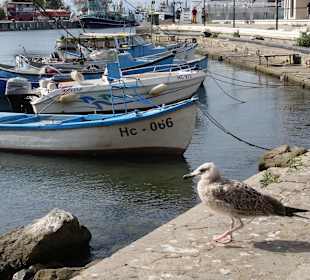 Nessebar Umgebung