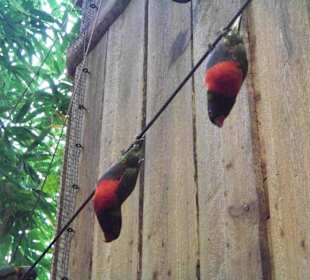 Tropenaquarium Hagenbeck