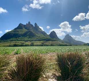 Mountains in the South