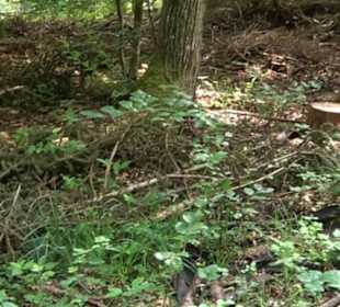 Keltische Grabstätten