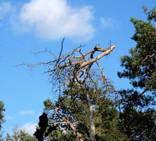 Wandern Datteln