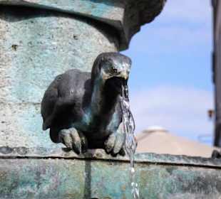Ansichten des Hühnerdieb-Brunnens