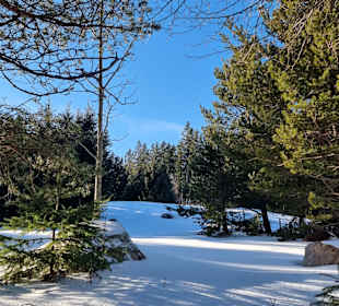 Rundwanderweg Schluchsee