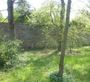 Bummel durch die nördliche Allee