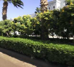 Stadtrundgang El Gouna