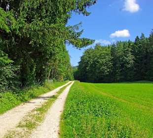 Der Therapeutische Wanderweg