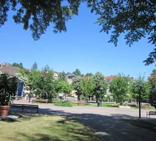 Niederbronn les Bains