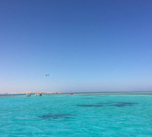 Farnem wie sie sein sollen