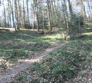 Grafenberger Brünnele