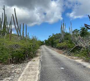 Gut ausgebaute Straßen 