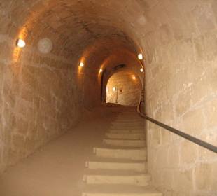 Im venezianischen Turm