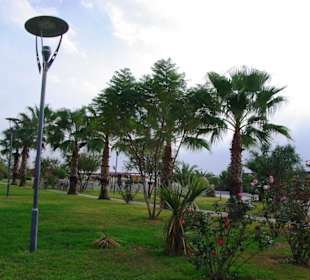 Aufgenommen vom 23.-29.11.2013