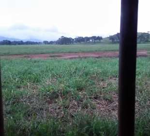 Sarova Salt Lick Game Lodge