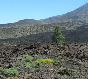 Steilküste Los Gigantes