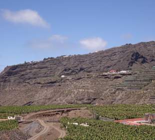 Blick von Tazacorte auf die Bananenplantage