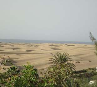 Dünen Maspalomas