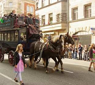 Pferdefreunde Markt Erlbach