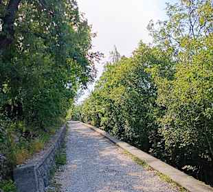 Napoleonweg