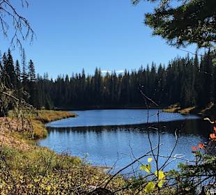 Wandern Bridge Lake