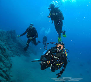 Tauchen mit Bahianus Lanzarote