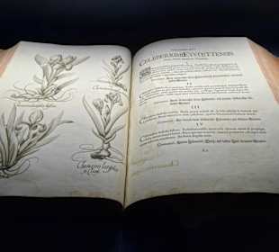 Exponate des Palais Mamming Museum