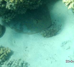 Beim Schnorcheln - In völliger Dunkelheit und Kalten