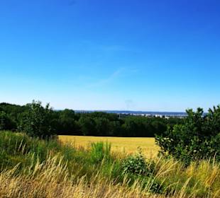 Tolle Dresdner Landschaft