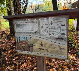 Wandern Seeon-Seebruck