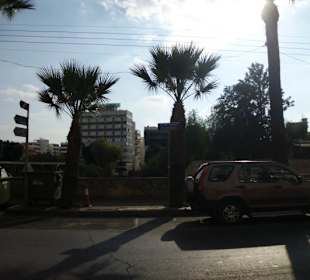 Blick in Richtung Stadtmauer