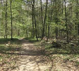 Wanderweg Hochgehwachsen