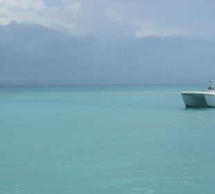 Wasser / Bacardi-Insel