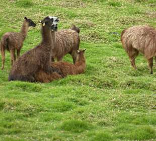 Er läßt es sich hier richtig gut gehen
