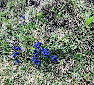 Wandern Bad Hofgastein