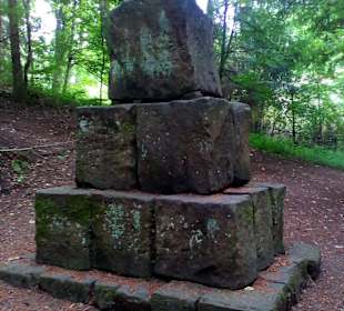 Pfälzer Waldpfad in Kaiserslautern