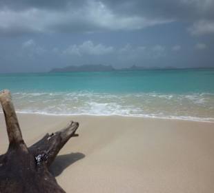 Petit Carenage / Carriacou, Grenada