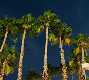 Strandpromenade Playa del Inglés