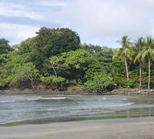 Inselrundfahrt Santa Catalina