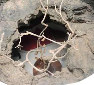 Fundacion Cesar Manrique Impression